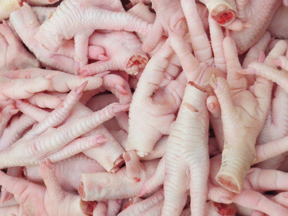 Chicken Paws for Sale