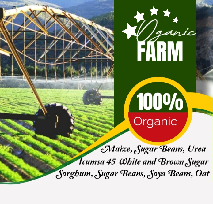 Organic Farms in South Africa