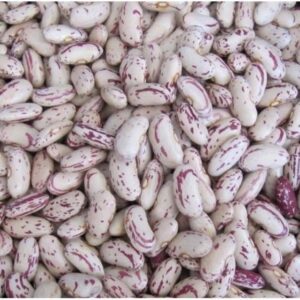 Non-GMO Sugar Beans for Sale