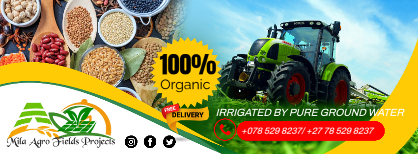 Header Mila Agro Fields Projects